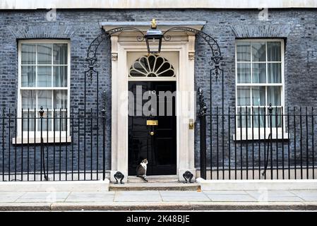 Larry ist eine gerettete streunende Katze aus dem Battersea Dogs & Cats Home, die von Mitarbeitern der Downing Street ausgewählt wurde.Larry sollte ein Haustier für die Kinder von David und Samantha Cameron sein, Und wurde von Downing Street Quellen als gutes Rattern und als mit einem hohen Verfolgungsjagd und Jagd Instinkt beschrieben." 2012 enthüllte Battersea Dogs & Cats Home, dass Larrys Popularität zu einem 15-prozentigen Anstieg der Menschen geführt hatte, die Katzen adoptieren. Stockfoto