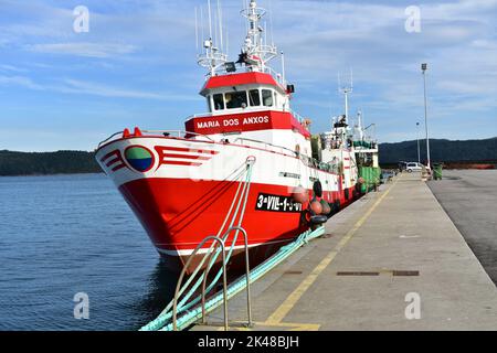 Hafen- und galizische Fischerboote bei Rias Baixas in der Region Galicien. Camariñas, Spanien. November 28, 2020. Stockfoto