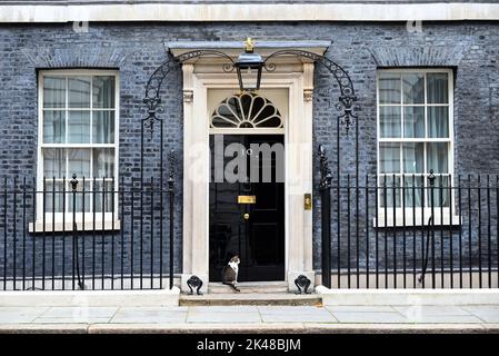 Larry ist eine gerettete streunende Katze aus dem Battersea Dogs & Cats Home, die von Mitarbeitern der Downing Street ausgewählt wurde.Larry sollte ein Haustier für die Kinder von David und Samantha Cameron sein, Und wurde von Downing Street Quellen als gutes Rattern und als mit einem hohen Verfolgungsjagd und Jagd Instinkt beschrieben." 2012 enthüllte Battersea Dogs & Cats Home, dass Larrys Popularität zu einem 15-prozentigen Anstieg der Menschen geführt hatte, die Katzen adoptieren. Stockfoto