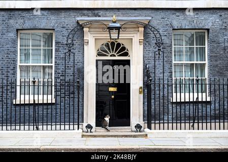 Larry ist eine gerettete streunende Katze aus dem Battersea Dogs & Cats Home, die von Mitarbeitern der Downing Street ausgewählt wurde.Larry sollte ein Haustier für die Kinder von David und Samantha Cameron sein, Und wurde von Downing Street Quellen als gutes Rattern und als mit einem hohen Verfolgungsjagd und Jagd Instinkt beschrieben." 2012 enthüllte Battersea Dogs & Cats Home, dass Larrys Popularität zu einem 15-prozentigen Anstieg der Menschen geführt hatte, die Katzen adoptieren. Stockfoto