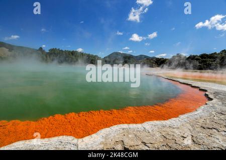 Der Dampf hebt sich über die lebhafte, antimonorangene Farbe, die sich am Rand des Champagnerpools bildet. Es befindet sich im Wai-O-Tapu Thermal Wonderlan Stockfoto