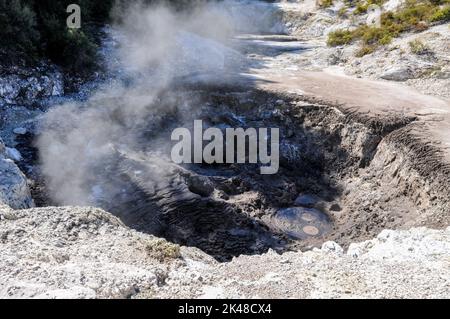 Devils Ink Töpfe Krater mit brodelndem kochendem Schlamm im Wai-O-Tapu Thermal Wonderland in der Nähe der am See gelegenen Stadt Rotorua in der Bay of Plenty N Stockfoto