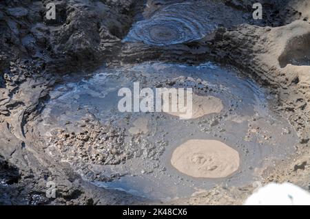 Devils Ink Töpfe Krater mit brodelndem kochendem Schlamm im Wai-O-Tapu Thermal Wonderland in der Nähe der am See gelegenen Stadt Rotorua in der Bay of Plenty N Stockfoto