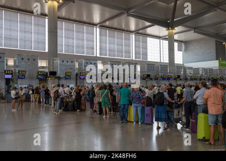 Reisende mit Koffern, die sich für den Check-in an den Schaltern des Flughafens Malaga anstellen. Stockfoto