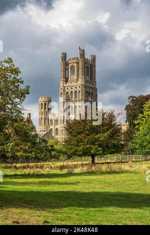 Südlicher Blick auf die Ely Cathedral vom Cherry Hill Park in Ely, Cambridgeshire, England, Großbritannien Stockfoto