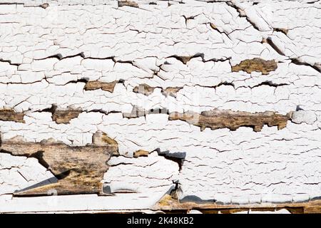 Abstrakte Holzstruktur. Grunge Hintergrund. Muster mit schmutzigem Holzeffekt. Materialhintergrund. Grafikressource. Stockfoto