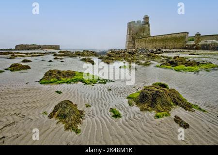 Frankreich. Normandie. Manche (50) die Vauban-Türme Saint-Vaast-la-Hougue und Tatihou, Küstenobservatorien. Hier befindet sich das Tatihou Observatorium Stockfoto