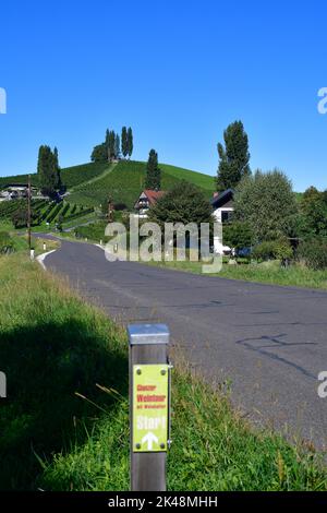 Österreich, Weinberge an den Steilhängen des Sulmtals an der steirischen Weinstraße gelegen, ist die hügelige Landschaft auch als die Toskana von Austr bekannt Stockfoto