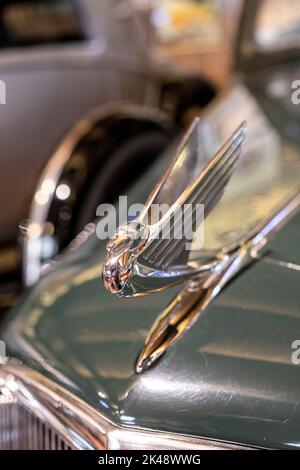 Nahaufnahme des Chevrolet-Logos auf dem grünen Retro-Auto. Rahmi Koc Museum in Istanbul, Türkei. Stockfoto