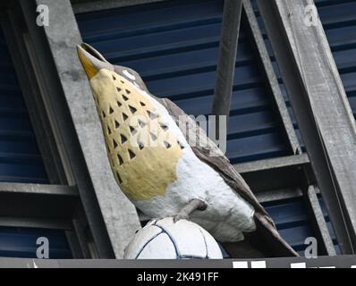 West Bromwich, Großbritannien. 02. Oktober 2022. Die Hawthorns die Hawthorns während des Sky Bet Championship-Spiels zwischen West Bromwich Albion und Swansea City am 1. Oktober 2022 auf den Hawthorns, West Bromwich, England. Foto von Karl Newton/Prime Media Images. (Karl Newton/SPP) Quelle: SPP Sport Press Foto. /Alamy Live News Stockfoto