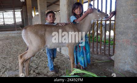 Bhinmal Rajasthan, Indien - 19. Mai 2017 : Indisches Dorf Kind mit Hirsche lächelndes Gesicht. Stockfoto