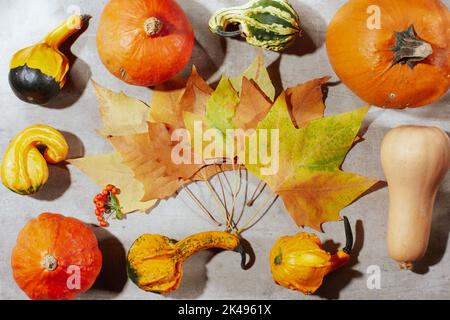 Herbst flach lag auf einem Betonboden mit Kürbissen, Herbstblättern und Herbstblättern. Stockfoto