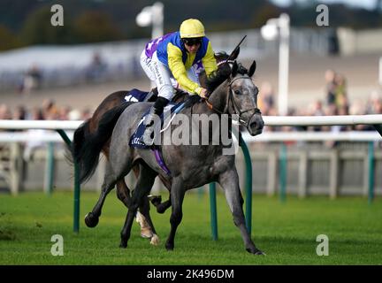 Amichi, gefahren von Ray Dawson, gewinnt die 150.000 Tattersalls October Auction Stakes während des Sun Chariot Day auf der Newmarket Racecourse. Bilddatum: Sonntag, 1. Oktober 2022. PA-Foto. Siehe PA Story RACING Newmarket. Bildnachweis sollte lauten: Tim Goode/PA Wire. Stockfoto