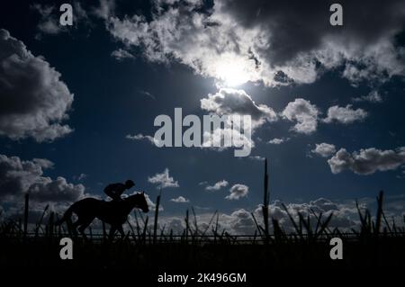 Girl Magic von David Egan wird beim Sun Chariot Day auf der Newmarket Racecourse vor den 150.000 Tattersalls October Auction Stakes gepostet. Bilddatum: Sonntag, 1. Oktober 2022. PA-Foto. Siehe PA Story RACING Newmarket. Bildnachweis sollte lauten: Tim Goode/PA Wire. Stockfoto