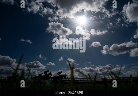 Pferde posten vor den 150.000 Tattersalls Oktober-Auktionseinsätzen während des Sun Chariot Day auf der Newmarket Racecourse. Bilddatum: Sonntag, 1. Oktober 2022. PA-Foto. Siehe PA Story RACING Newmarket. Bildnachweis sollte lauten: Tim Goode/PA Wire. Stockfoto