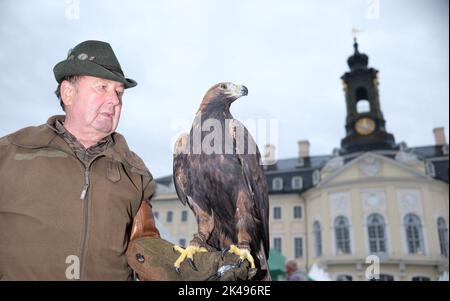 Wermsdorf, Deutschland. 01. Oktober 2022. Falconer Gabriel Hartwig trägt seinen Steinadler auf der Messe 'Jagd & Angeln' vor dem Schloss Wermsdorf. Dort findet vom 01. Bis 03.10.2022 die größte Messe Ostdeutschlands für Themen rund um Jagd, Angeln und Outdoor statt. Die Show findet zum ersten Mal in diesem historischen Ambiente statt, zuvor fand sie in Markkleeberg bei Leipzig statt. Quelle: Sebastian Willnow/dpa/ZB/dpa/Alamy Live News Stockfoto