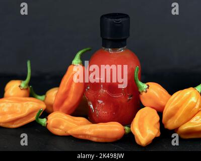 Chilisauce-Flasche in Form eines Schädels zwischen scharfer, orangefarbener Chilischote auf schwarzem Hintergrund Stockfoto