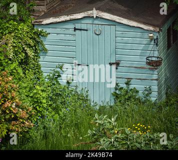 Gartenschuppen überschwemmt mit Pflanzen Stockfoto