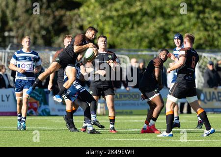 Coventry, Großbritannien. 01. Oktober 2022. David Johnston von Ealing Trailfinders fängt einen Luftball während des Meisterschaftsspiels Coventry Rugby gegen Ealing Trailfinders in der Butts Park Arena, Coventry, Großbritannien, 1.. Oktober 2022 (Foto von Nick Browning/News Images) in Coventry, Großbritannien am 10/1/2022. (Foto von Nick Browning/News Images/Sipa USA) Quelle: SIPA USA/Alamy Live News Stockfoto