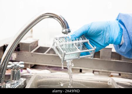 Wissenschaftler bereitet Objektträger mit in Paraffin eingebetteten Gewebeproben für immunhistochemische Tests im Labor vor. Stockfoto