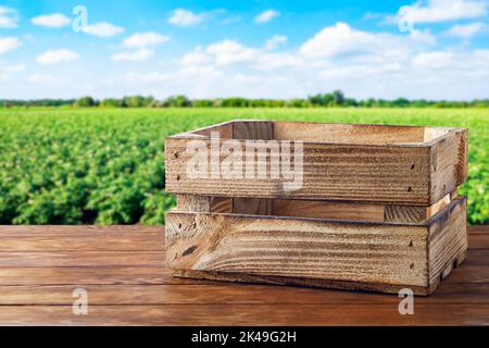 Leere Holzkiste auf dem Tisch mit Feld im Hintergrund Stockfoto