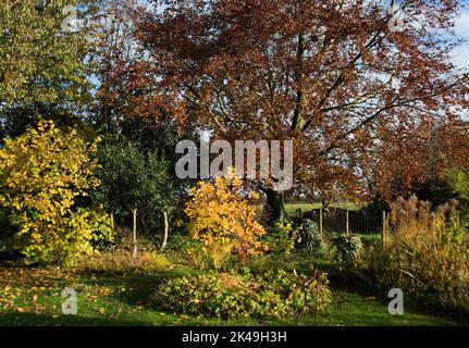 Landgarten im November Stockfoto