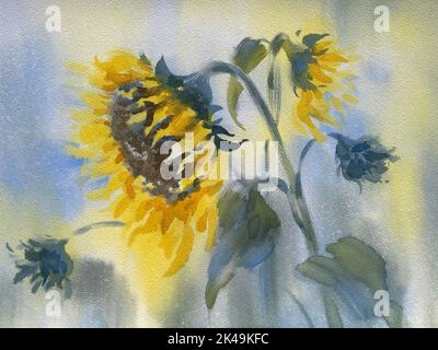 Ein Strauß Sonnenblumen auf hellem Aquarellhintergrund Stockfoto