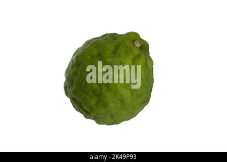 asiatischer Kaffir Limetten auf weißem Hintergrund. Wird in der thailändischen und indonesischen Küche verwendet. Stockfoto