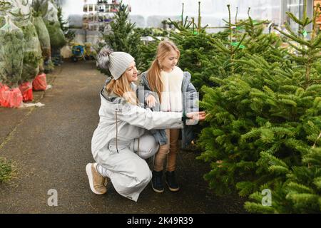 Mutter und Kind kaufen einen normannischen Weihnachtsbaum in einem Geschäft Stockfoto