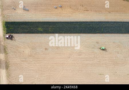 Eine Luftaufnahme eines Mähdreschers und eines Traktors, der auf einem landwirtschaftlichen Feld arbeitet Stockfoto