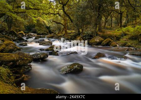 Eine idyllische Herbstwaldlandschaft mit einem Fluss, der über Felsen und Felsbrocken durchzieht Stockfoto