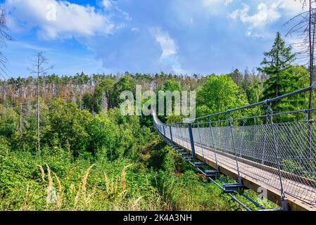 Ein Blick auf die hohe Schrecke Hängebrücke an einem Sommertag Stockfoto