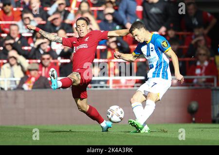 Liverpool, Großbritannien. 01. Oktober 2022. Solly Marsch von Brighton & Hove Albion (r) und Kostas Tsimikas von Liverpool in Aktion. Premier League Spiel, Liverpool gegen Brighton & Hove Albion am Samstag, 1.. Oktober 2022, im Anfield in Liverpool. Dieses Bild darf nur für redaktionelle Zwecke verwendet werden. Nur zur redaktionellen Verwendung, Lizenz für kommerzielle Nutzung erforderlich. Keine Verwendung in Wetten, Spielen oder einem einzigen Club / Liga / Spieler Publikationen. PIC von Chris Stading / Andrew Orchard Sport Fotografie / Alamy Live News Kredit: Andrew Orchard Sport Fotografie / Alamy Live News Stockfoto