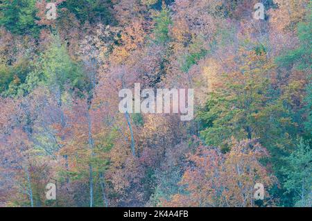 Paesaggio autunnale sul monte Polveracchio,Campania,Italia Stockfoto