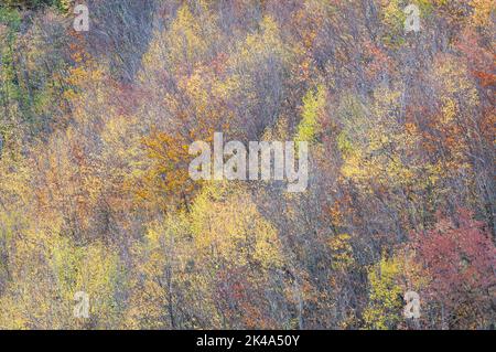 Paesaggio autunnale sul monte Polveracchio,Campania,Italia Stockfoto