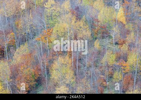 Paesaggio autunnale sul monte Polveracchio,Campania,Italia Stockfoto