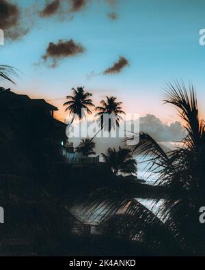 Eine wunderschöne tropische Landschaft mit Silhouetten von Palmen am Meer unter einem bunten Himmel bei Sonnenuntergang Stockfoto