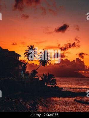 Eine wunderschöne tropische Landschaft mit Silhouetten von Palmen am Meer unter einem bunten Himmel bei Sonnenuntergang Stockfoto