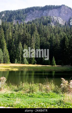 Smolyan Seen liegen am linken Hang des Tals des Flusses Cherna und Snezhanka Peak, Bulgarien Rhodopi Berge Stockfoto