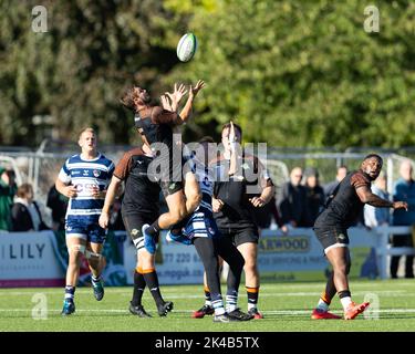 David Johnston von Ealing Trailfinders fängt beim Championship-Spiel einen Luftball ein Coventry Rugby gegen Ealing Trailfinders in der Butts Park Arena, Coventry, Großbritannien, 1.. Oktober 2022 (Foto von Nick Browning/News Images) Stockfoto