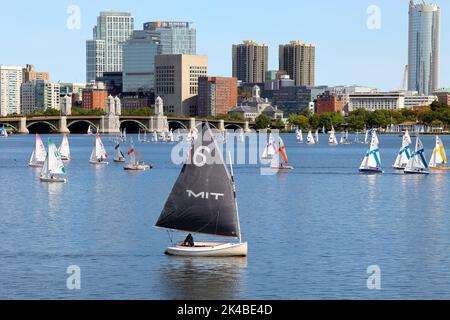 Ein einflügges mit catboat unter einer Flottille von Segelbooten der Boston University auf dem Charles River mit der Longfellow Bridge und der Skyline von Boston im Hintergrund Stockfoto