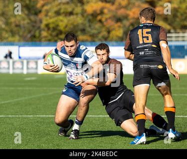 Coventry, Großbritannien. 01. Oktober 2022. Will Rigg von Coventry Rugby wird während des Meisterschaftsspiels Coventry Rugby gegen Ealing Trailfinders in der Butts Park Arena, Coventry, Großbritannien, 1.. Oktober 2022 (Foto von Nick Browning/News Images) in Coventry, Großbritannien am 10/1/2022, angegangen. (Foto von Nick Browning/News Images/Sipa USA) Quelle: SIPA USA/Alamy Live News Stockfoto