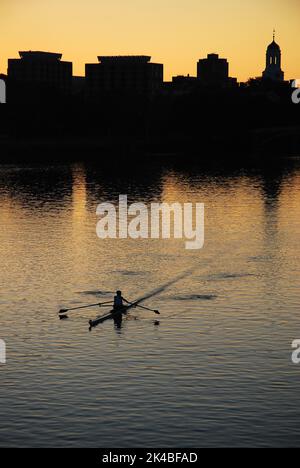 Bei Sonnenaufgang ruht ein Einzelkuller auf einem ruhigen Charles River und genießt den Morgen an der Harvard University, zwischen Boston und Cambridge Stockfoto