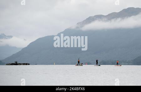 Familien-Tag mit Paddleboarding zusammen mit Hund Stockfoto