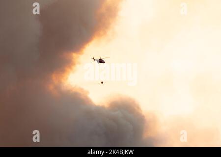 Ein Red Airbus Helicopters H215 umgeht den Rand der riesigen Rauchwolke, während es Wasser transportiert, um das Waldfeuer in Estepona zu löschen Stockfoto