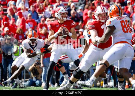 Madison, WI, USA. 1. Oktober 2022. Der Quarterback der Wisconsin Dachs Graham Mertz (5) fällt während des NCAA Football-Spiels zwischen den Illinois Fighting Illini und den Wisconsin Dachs im Camp Randall Stadium in Madison, WI, zurück. Darren Lee/CSM/Alamy Live News Stockfoto