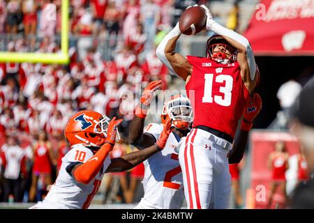 Madison, WI, USA. 1. Oktober 2022. Der breite Empfänger des Wisconsin Dachses, Chimere Dyke (13), macht während des NCAA Football-Spiels zwischen den Illinois Fighting Illini und den Wisconsin Dachsen im Camp Randall Stadium in Madison, WI, einen Fang. Darren Lee/CSM/Alamy Live News Stockfoto