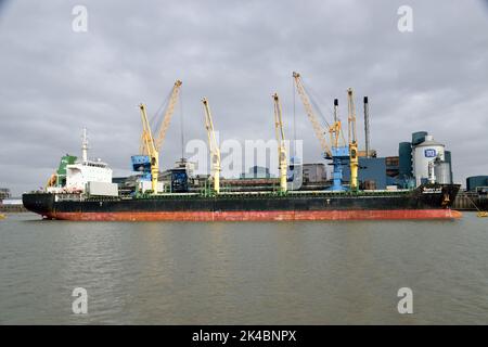 Frachtschiff CHINTANA NAREE bei der Tate & Lyle Sugar's Thames Refinery in Silvertown, London, lädt eine Ladung Rohrzucker aus Stockfoto