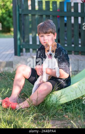 Junge hält Welpen von Jack Russel Terrier gemischte Rasse aus Hundehüterhaus angenommen. Kreuzung von niedlichen doggy. Das Kind hält ein weißes, braunes Haustier. Hund Zunge raus. Stockfoto