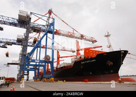 Ein Frachtschiff wird von massiven Kranen an den Penn Terminals in Eddystone, Pennsylvania, 16. April 2020, ausgeladen. CBP-Foto von Glenn Fawcett Stockfoto